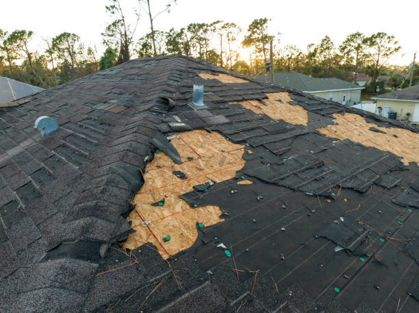 Best Roof Coating and Sealing  in Saratoga, CA